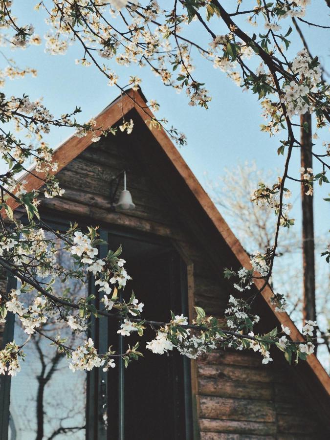 Visoko Gorani Cottage Екстер'єр фото