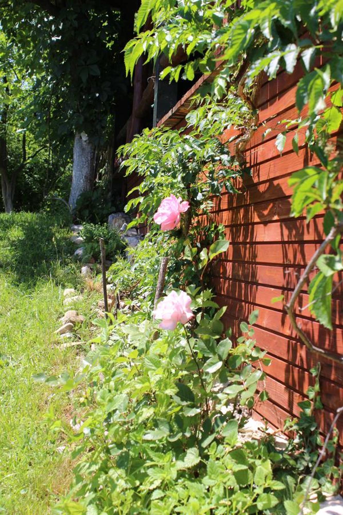 Visoko Gorani Cottage Екстер'єр фото