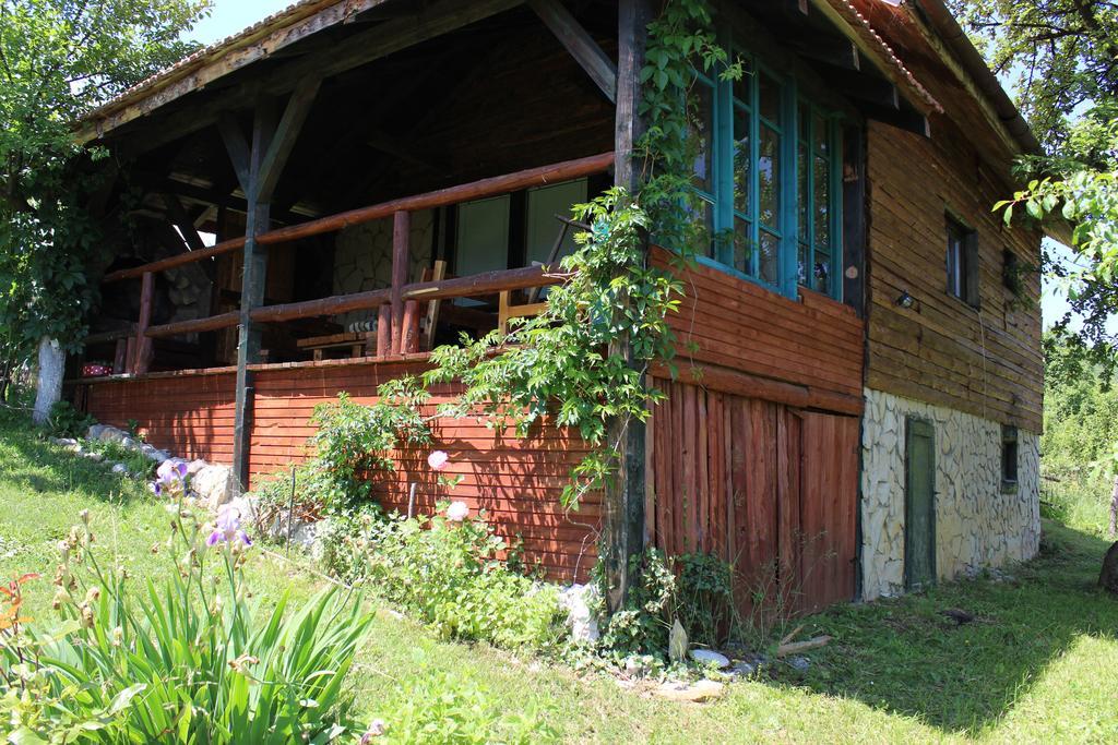 Visoko Gorani Cottage Екстер'єр фото