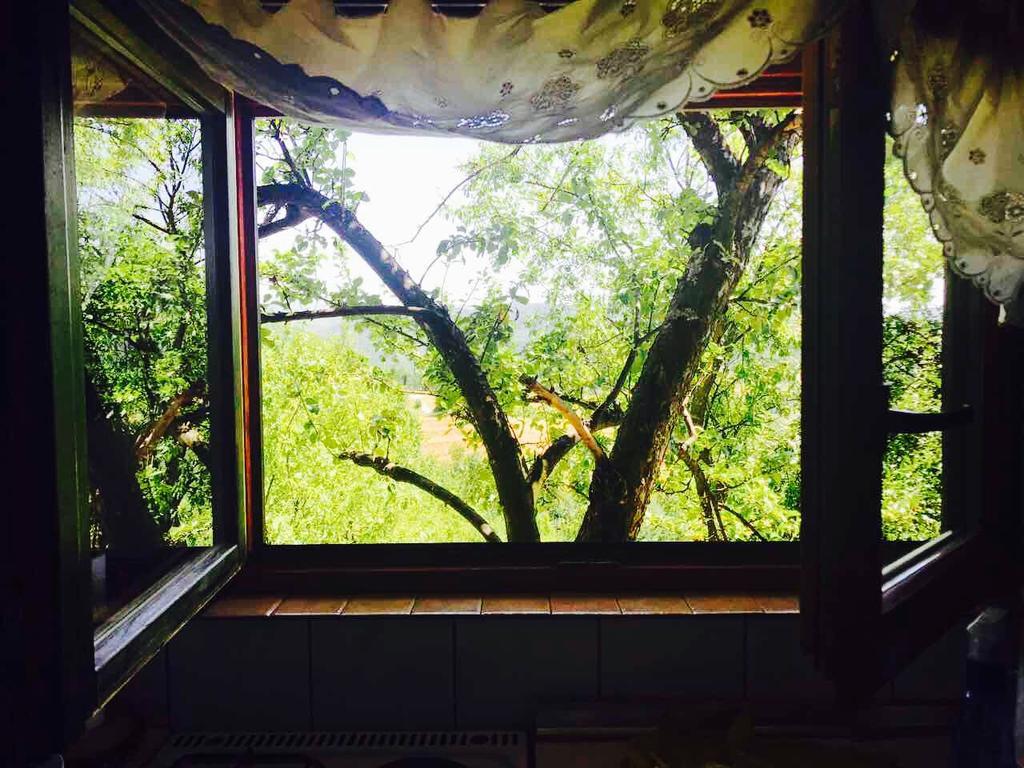 Visoko Gorani Cottage Екстер'єр фото